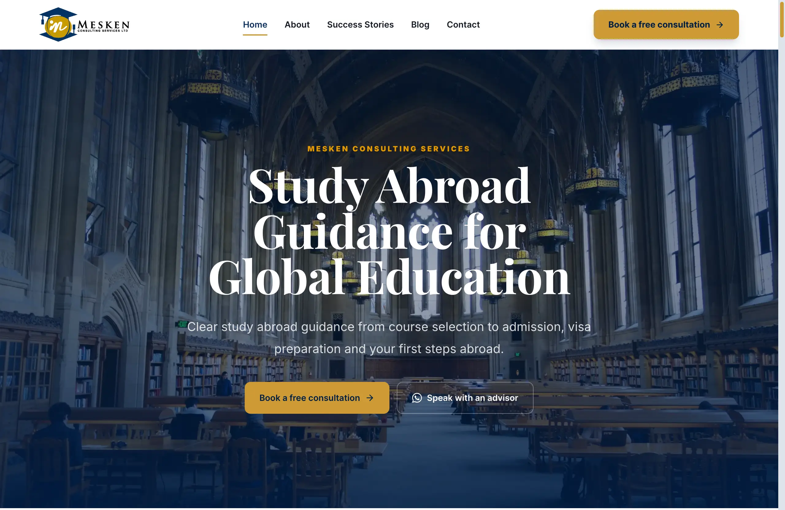 Mesken Consulting website preview