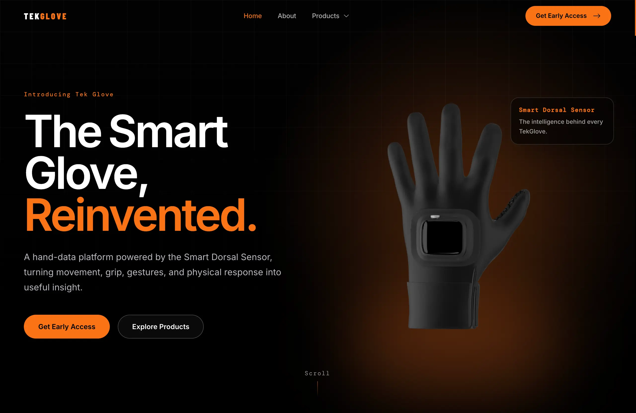 TekGlove wearable technology platform project cover